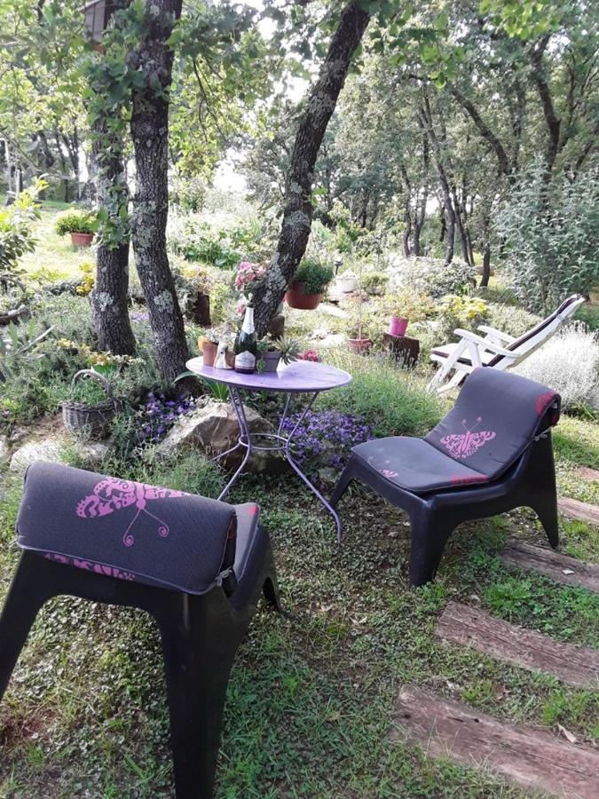 Apartments Bijou With Big Private Garden Near Umag Vilanija Dış mekan fotoğraf